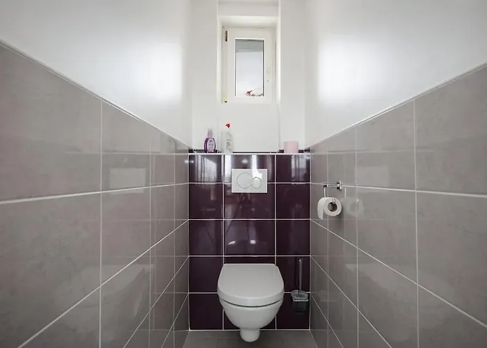 Апартаменты Belle Vue De Brest/t2 Lumineux /centre-ville Брест